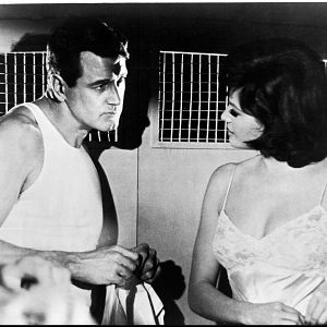 Bilder New York Express