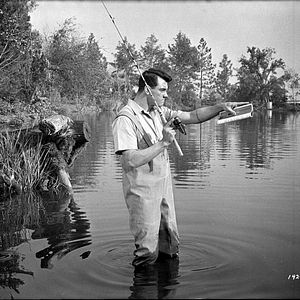 Bilder Paula Prentiss