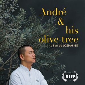 Bilder André & His Olive Tree
