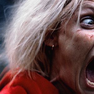 Bilder Hunted - Waldsterben