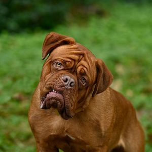 Bilder Scott & Huutsch