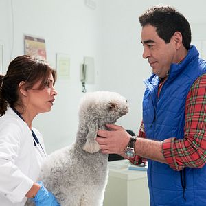 Bilder Pablo Chiapella