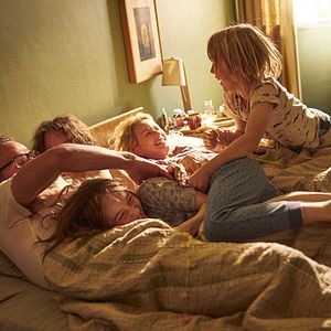 Bilder Beflügelt – Ein Vogel namens Penguin Bloom