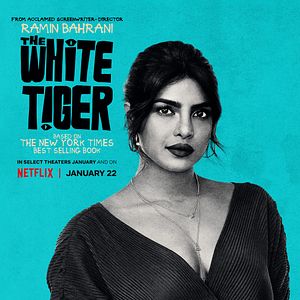 Bilder Der weiße Tiger