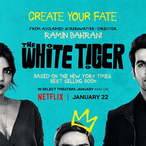 Bilder Der weiße Tiger