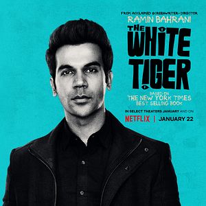 Bilder Der weiße Tiger