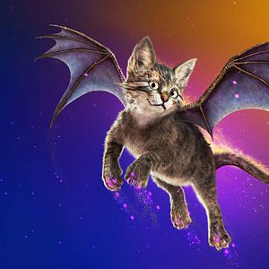 Bilder Upside-Down Magic