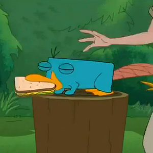 Bilder Phineas und Ferb