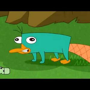 Bilder Phineas und Ferb