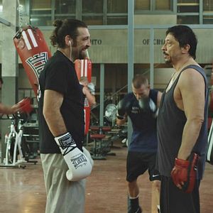 Bilder Scorpion: Brother. Skinhead. Fighter.