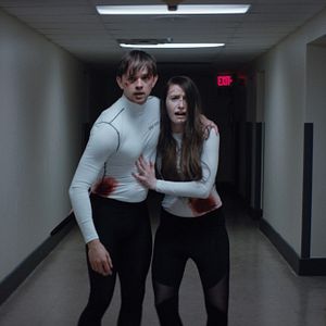 Bilder Das Honeymoon-Experiment