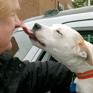 Bilder Ein Hundeleben mit Bill Farmer