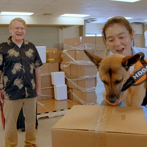 Bilder Ein Hundeleben mit Bill Farmer