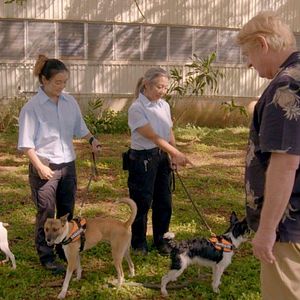 Bilder Ein Hundeleben mit Bill Farmer