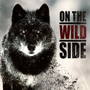 Bilder On The Wild Side - Gegen die weltweite Jagd