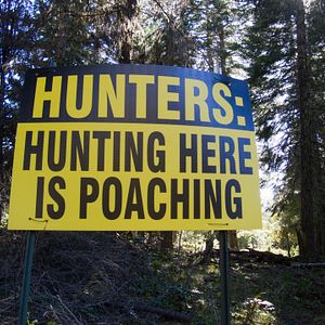 Bilder On The Wild Side - Gegen die weltweite Jagd