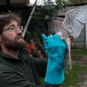 Bilder On The Wild Side - Gegen die weltweite Jagd