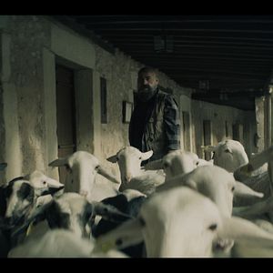 Bilder Eduard Fernández