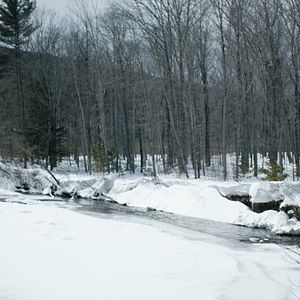 Bilder Hunted - Blutiges Geld