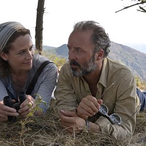 Bilder Ein Sommer auf Elba