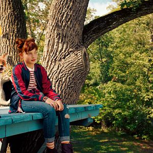 Bilder Die Schule der magischen Tiere