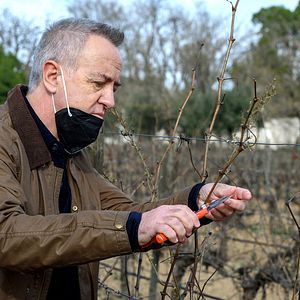 Bilder Erzähl mir, wie es passiert ist