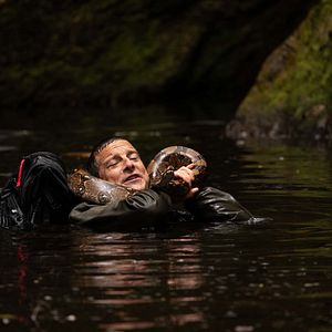 Bilder Du gegen die Wildnis – Der Film