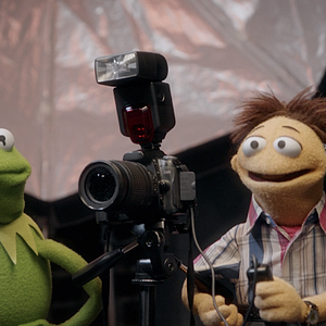 Bilder Und jetzt: Die Muppets!