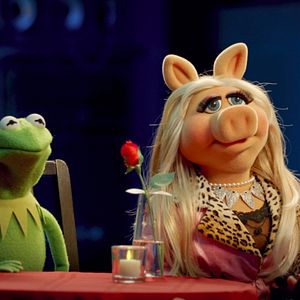 Bilder Und jetzt: Die Muppets!