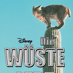 Bilder Die Wüste lebt