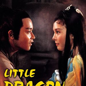 Bilder Little Dragon Maiden