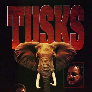 Bilder African Amok - Die Jagd nach dem weißen Gold