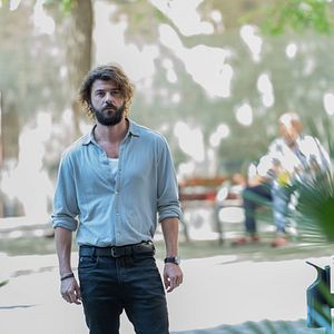 Bilder Merlí. Sapere Aude