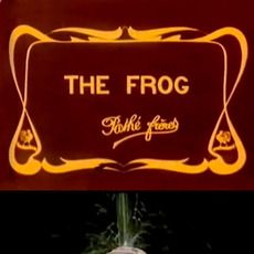 Bilder The Frog