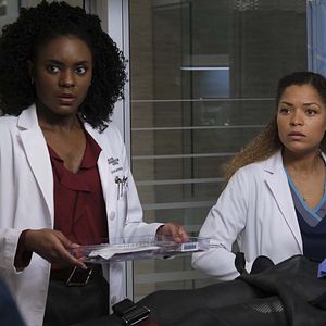 Bilder Summer Brown (VI)