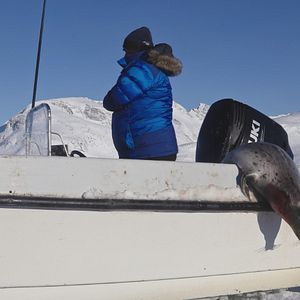 Bilder The Red House - Das rote Haus