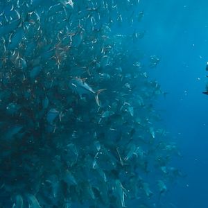 Bilder Wer wir waren