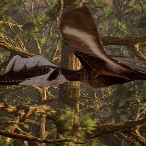 Bilder Flying Monsters 3D with David Attenborough