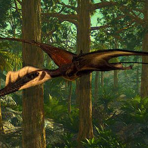 Bilder Flying Monsters 3D with David Attenborough