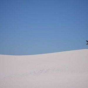 Bilder The Forgiven - Ohne Vergebung gibt es keine Zukunft