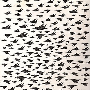 Bilder Es gibt zu viele dieser Krähen