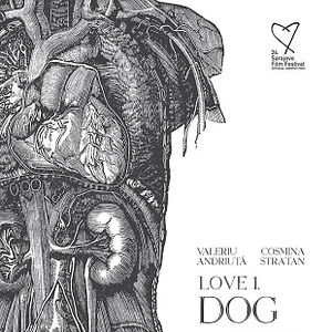 Bilder Dragoste 1: Câine