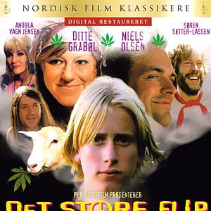 Bilder Det store flip