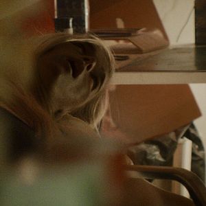 Bilder Forest - I See You Everywhere