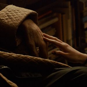 Bilder Forest - I See You Everywhere