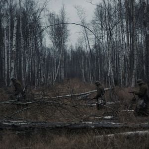 Bilder Das Licht in den Birkenwäldern