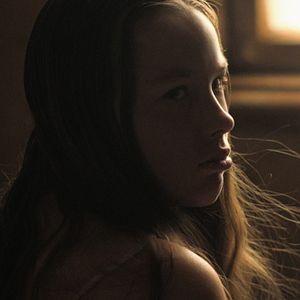 Bilder Das Licht in den Birkenwäldern