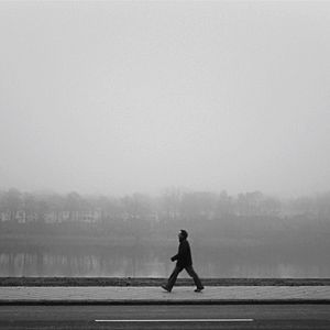 Bilder In Bewegung bleiben