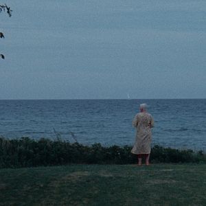 Bilder Wood And Water