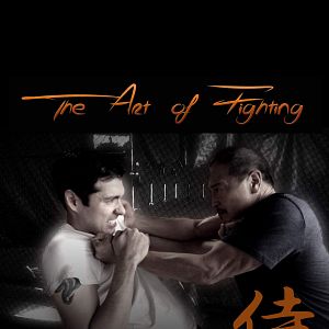 Bilder The Art of Fighting